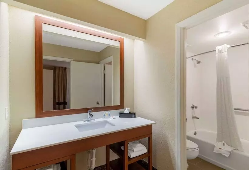 スイート, Comfort Inn & Suites  Near Robins Air Force Base Main Gate