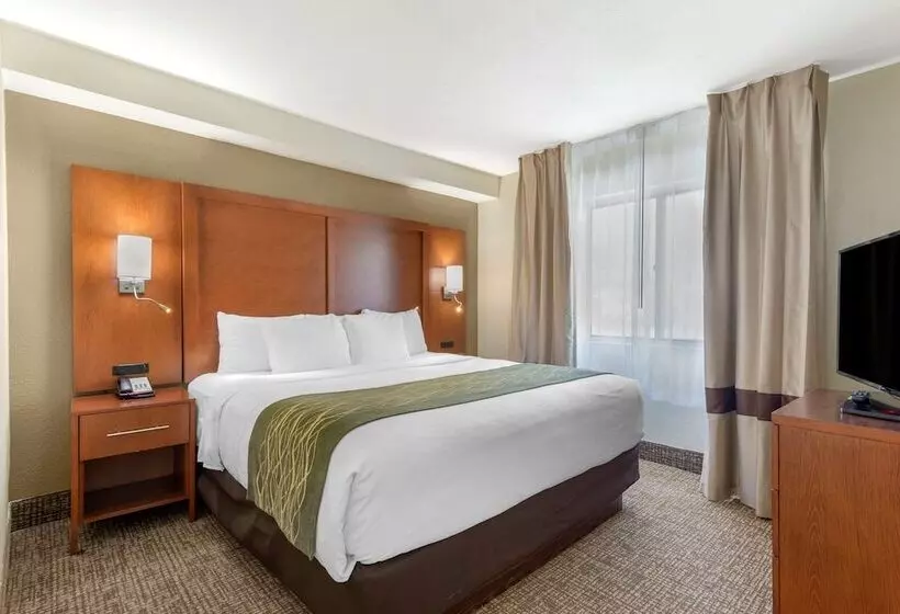 スイート, Comfort Inn & Suites  Near Robins Air Force Base Main Gate