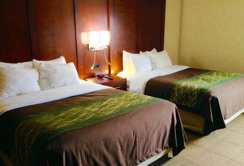 Номер Стандарт 2 Двуспальные Кровати, Comfort Inn Rutland   Killington