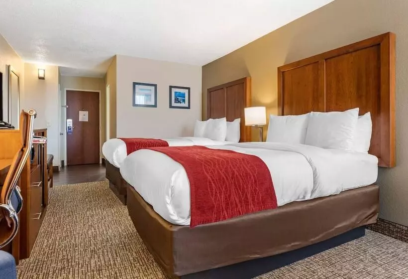 اتاق استاندارد با 2 تخت دوبل, Comfort Inn University