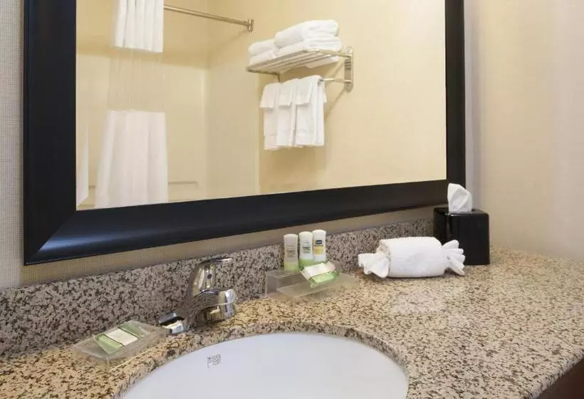 キングサイズベッドのスタンダードルーム, Country Inn & Suites By Radisson, Holland, Mi