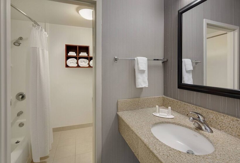 Номер Стандарт 2 Двуспальные Кровати, Courtyard Atlanta Marietta/i75 North