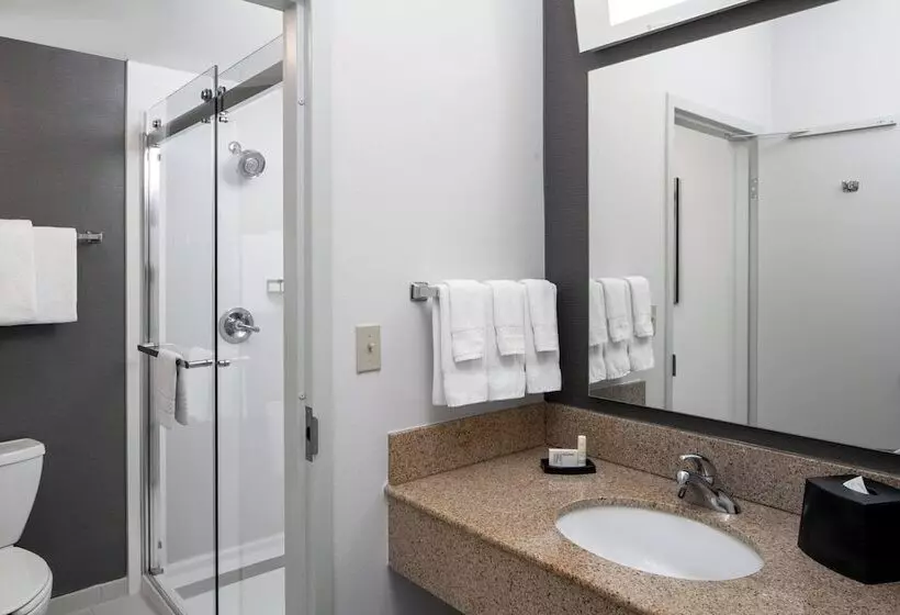 سوییت, Courtyard By Marriott Dulles Airport Herndon/reston