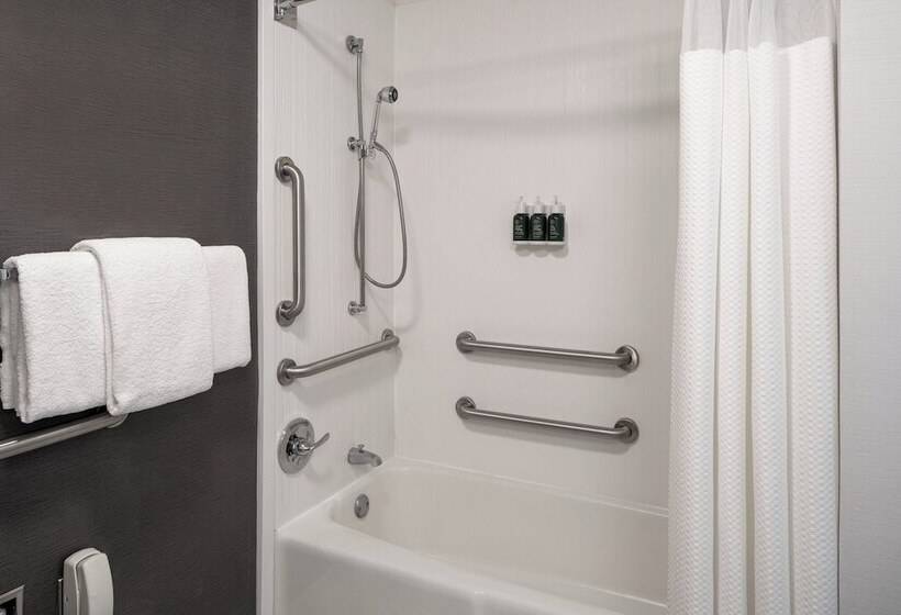 套房, Courtyard By Marriott Dulles Airport Herndon/reston