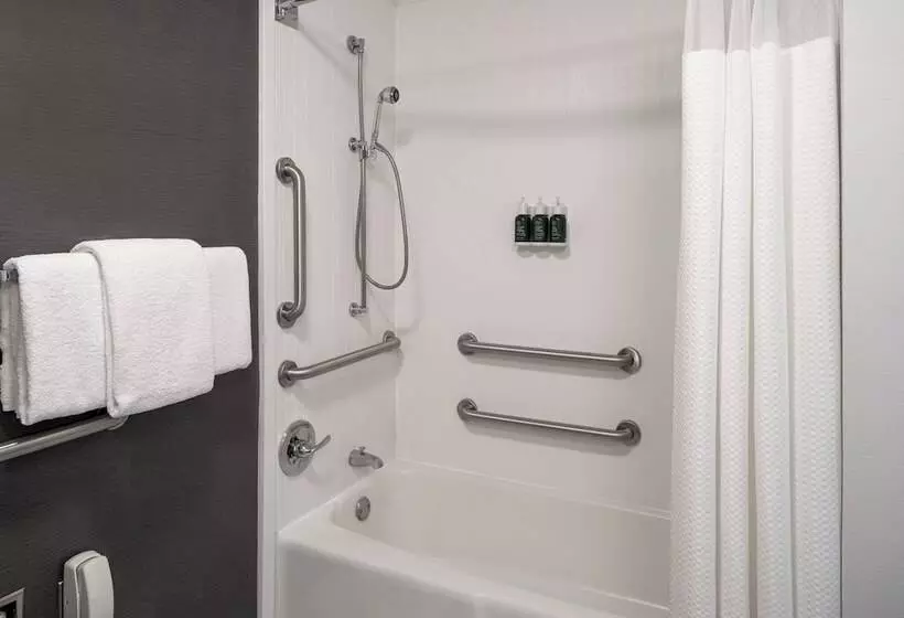 سوییت, Courtyard By Marriott Dulles Airport Herndon/reston