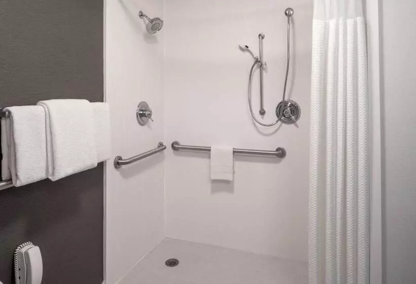 اتاق استاندارد با تخت بزرگ, Courtyard By Marriott Dulles Airport Herndon/reston