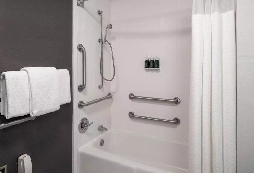 اتاق استاندارد با تخت بزرگ, Courtyard By Marriott Dulles Airport Herndon/reston