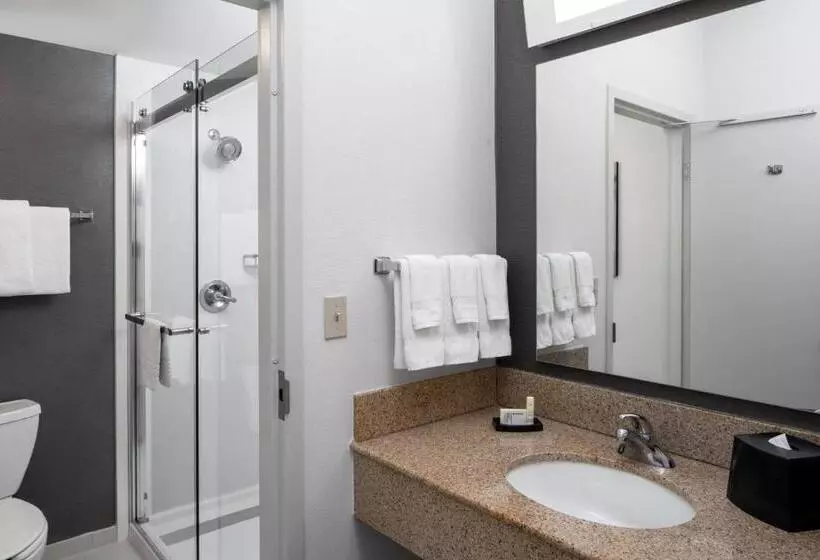 اتاق استاندارد, Courtyard By Marriott Dulles Airport Herndon/reston