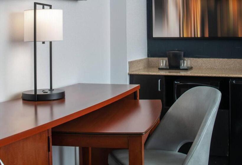 带大床的套房, Courtyard By Marriott Dulles Airport Herndon/reston