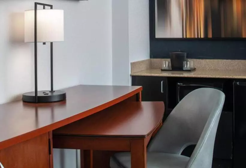 سوئیت با تخت بزرگ, Courtyard By Marriott Dulles Airport Herndon/reston