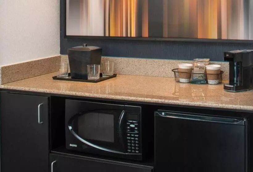 سوئیت با تخت بزرگ, Courtyard By Marriott Dulles Airport Herndon/reston