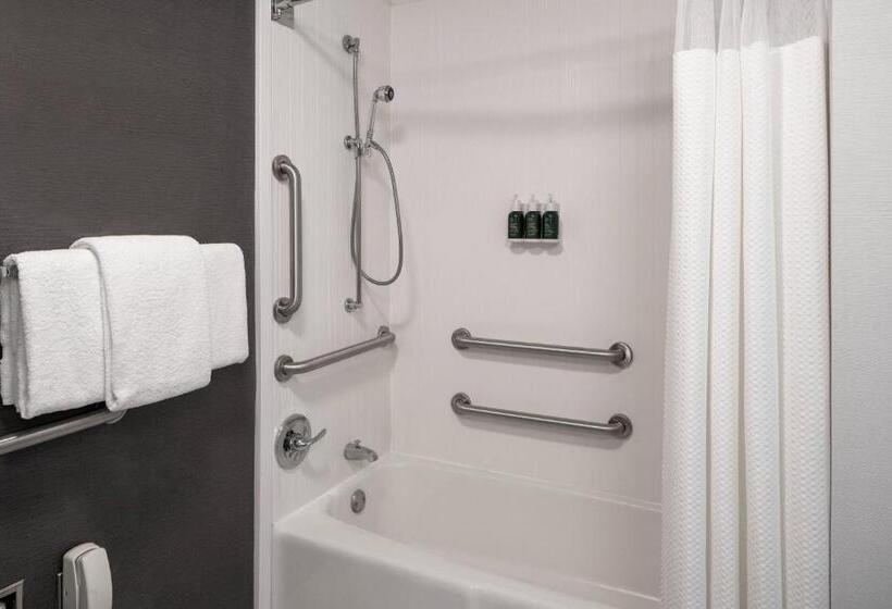 带大床的套房, Courtyard By Marriott Dulles Airport Herndon/reston