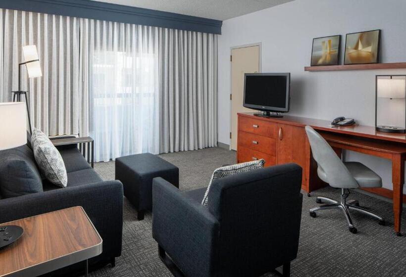 带大床的套房, Courtyard By Marriott Dulles Airport Herndon/reston