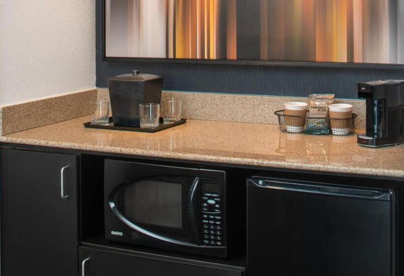 套房, Courtyard By Marriott Dulles Airport Herndon/reston