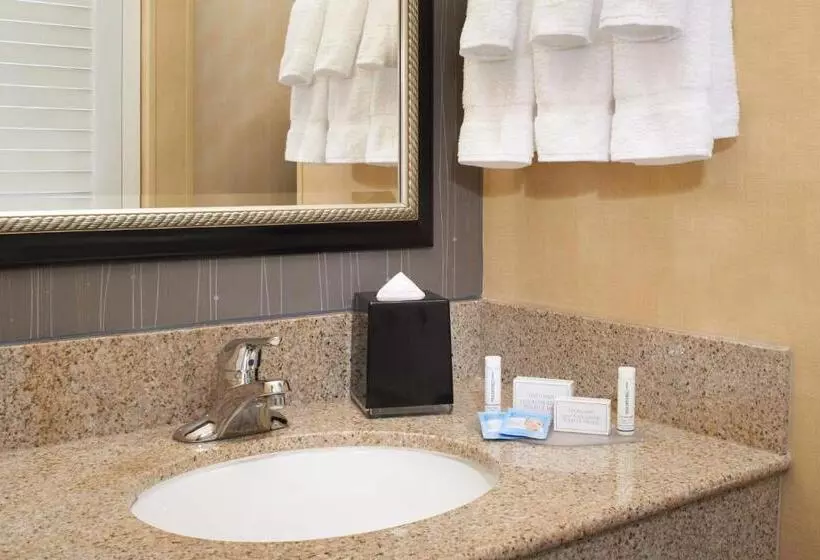 اتاق استاندارد با تخت بزرگ, Courtyard By Marriott Lexington North