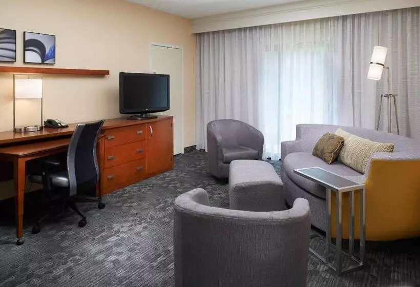 سوئیت با تخت بزرگ, Courtyard By Marriott Lexington North