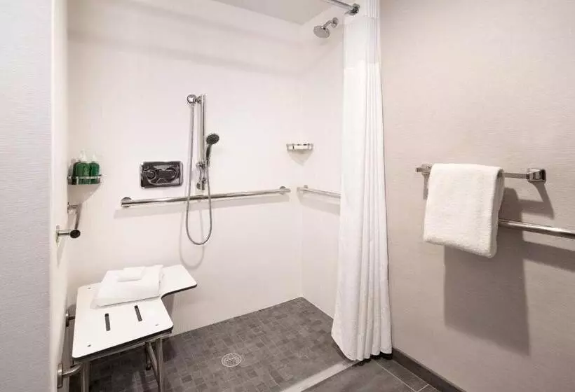 اتاق استاندارد با تخت بزرگ, Courtyard By Marriott Fresno