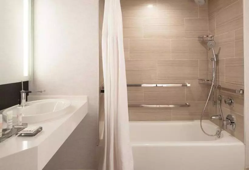 اتاق استاندارد با تخت بزرگ, Dallas/fort Worth Airport Marriott