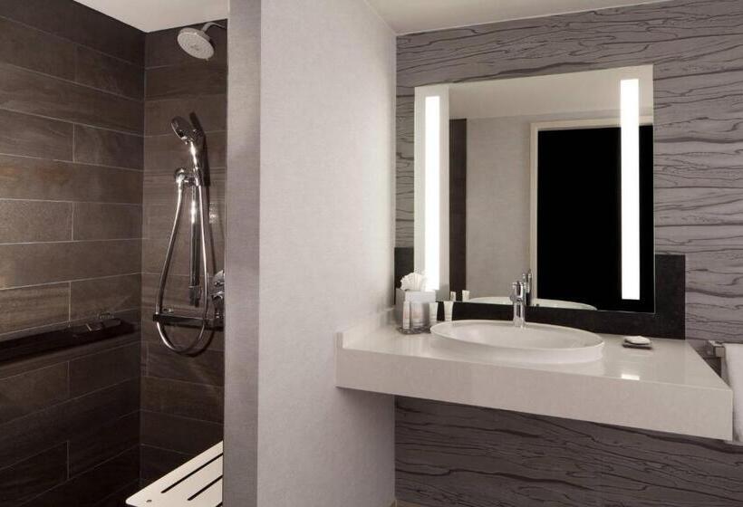 스탠다드 룸 킹사이즈 침대, Dallas/fort Worth Airport Marriott