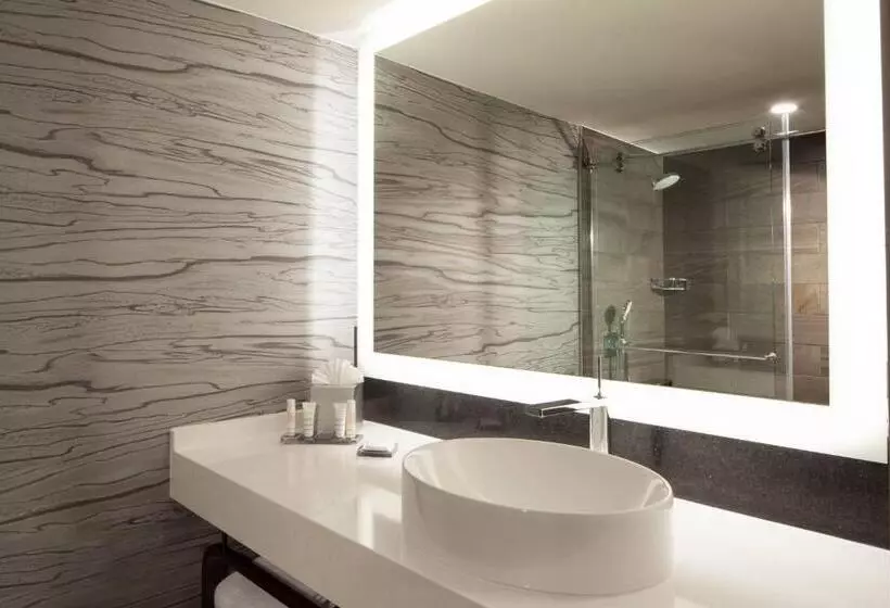 اتاق استاندارد با تخت بزرگ, Dallas/fort Worth Airport Marriott