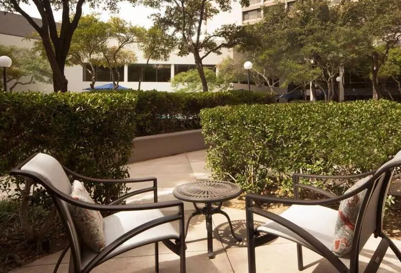 اتاق استاندارد با تخت بزرگ, Dallas/fort Worth Airport Marriott