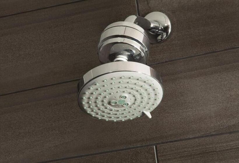 스탠다드 룸, Dallas/fort Worth Airport Marriott