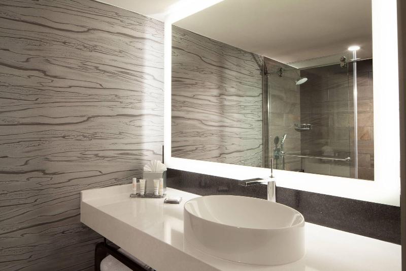 스탠다드 룸, Dallas/fort Worth Airport Marriott