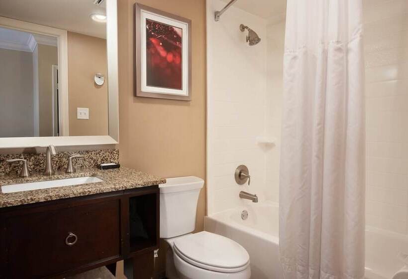 스탠다드 룸 더블 침대 2개, Delta Hotels By Marriott Orlando Lake Buena Vista