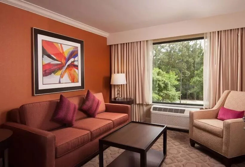 سوییت جونیور, Delta Hotels By Marriott Orlando Lake Buena Vista