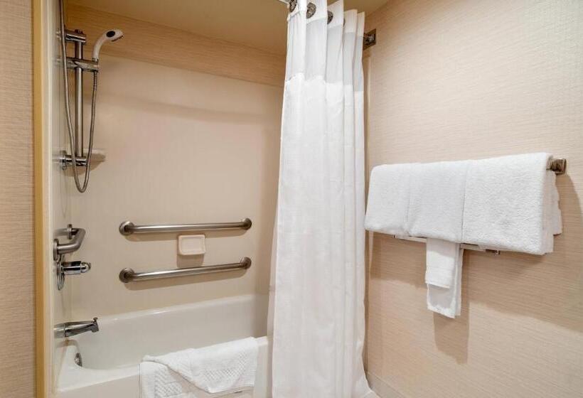장애인을 위한 킹사이즈 침대 스탠다드 룸, Fairfield Inn By Marriott Laurel