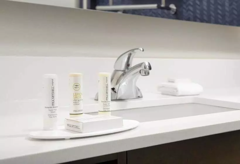 ２ダブルベッドのスタンダードルーム, Fairfield Inn & Suites By Marriott Alexandria West/mark Center