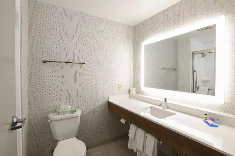 スイート, Holiday Inn Express Hotel & Suites Richwood   Cincinnati South, An Ihg
