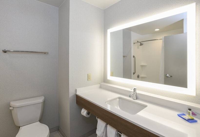 Люкс Адаптированный для Инвалидов, Holiday Inn Express Hotel & Suites Richwood   Cincinnati South, An Ihg