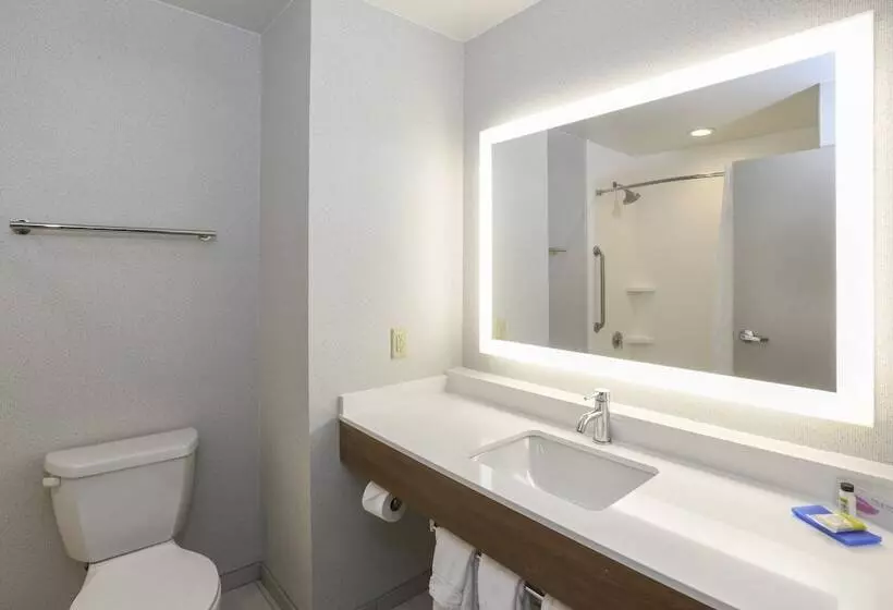 身障者適用スイートルーム, Holiday Inn Express Hotel & Suites Richwood   Cincinnati South, An Ihg