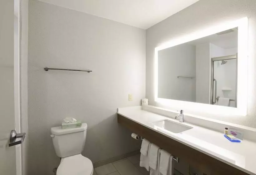 身障者適用スイートルーム, Holiday Inn Express Hotel & Suites Richwood   Cincinnati South, An Ihg