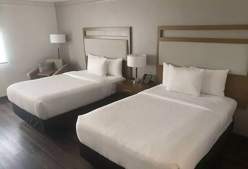 2ダブルベッドのスタンダードルーム, La Quinta By Wyndham Ft Lauderdale Cypress Creek