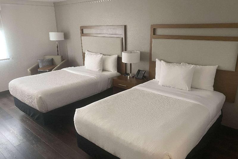 标准间, La Quinta By Wyndham Ft Lauderdale Cypress Creek