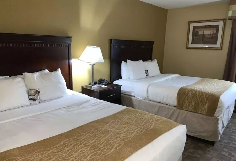 身障者適用スイートルーム, Quality Inn Asheboro South