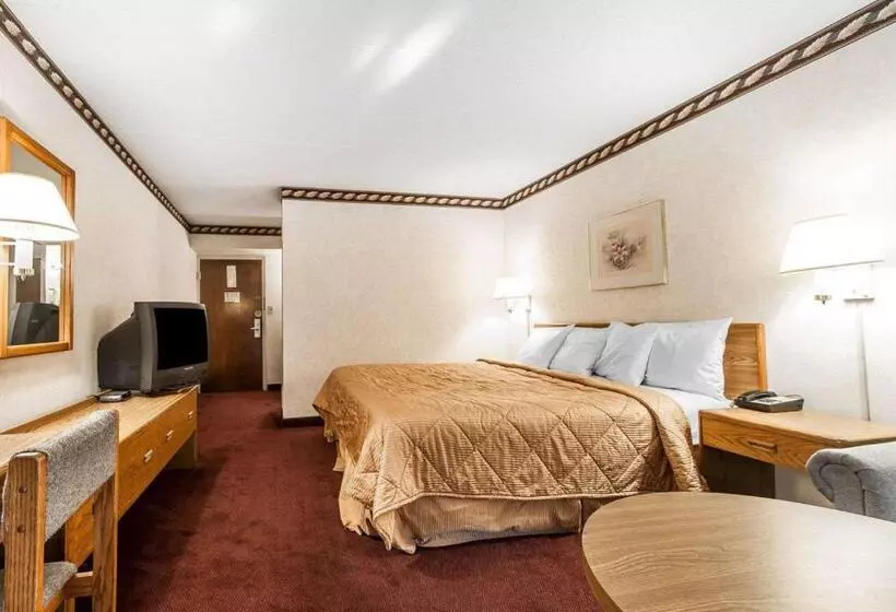 キングサイズベッドのスタンダードルーム, Rodeway Inn