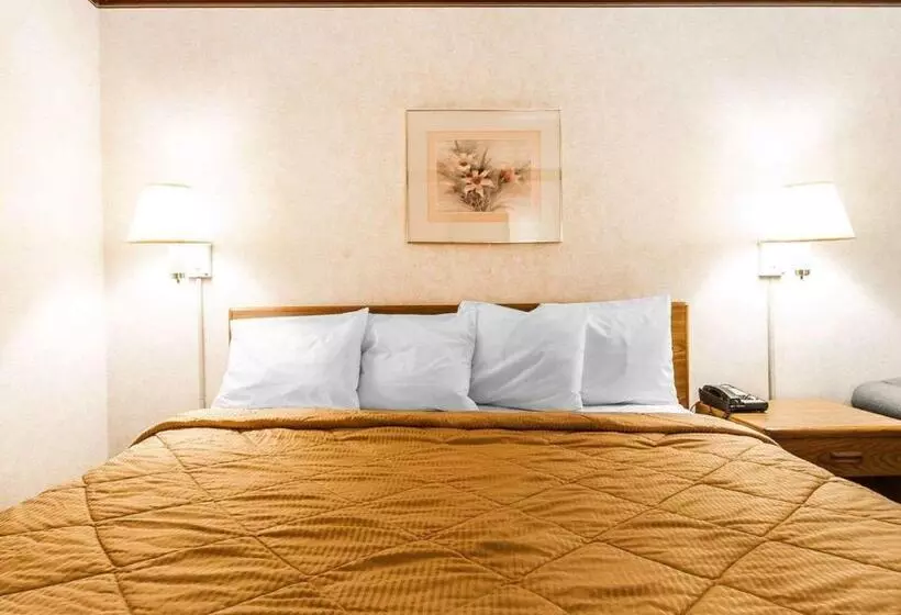 キングサイズベッドのスタンダードルーム, Rodeway Inn