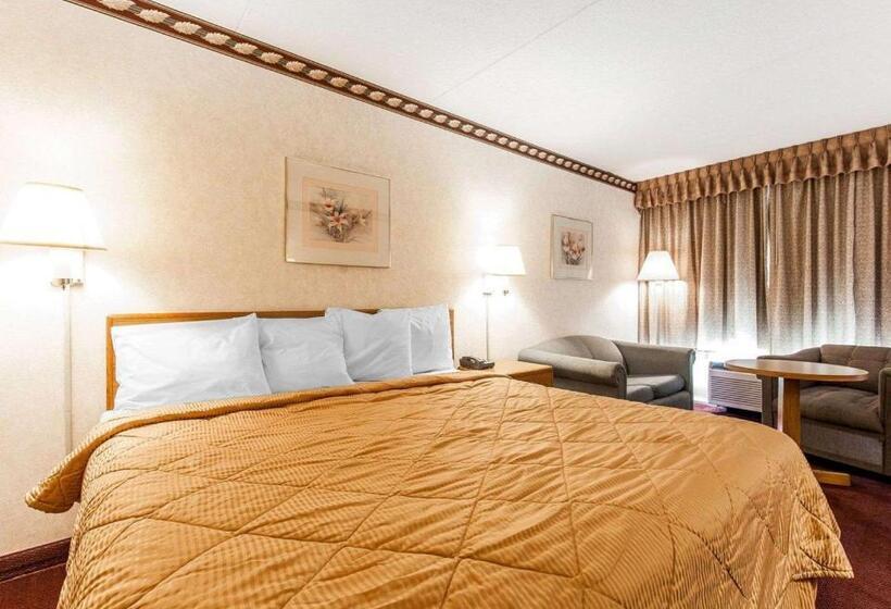 غرفة قياسية سرير كينج, Rodeway Inn