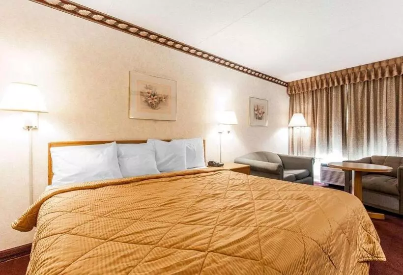 キングサイズベッドのスタンダードルーム, Rodeway Inn