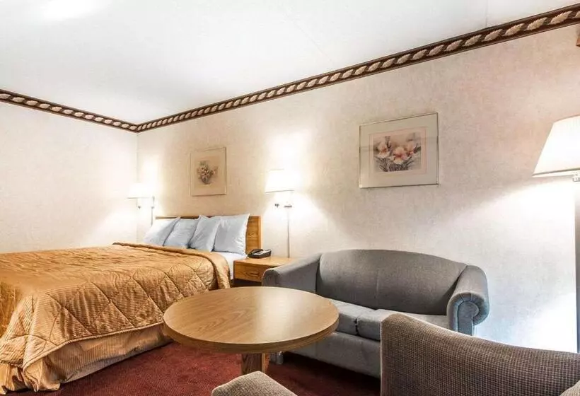 キングサイズベッドのスタンダードルーム, Rodeway Inn