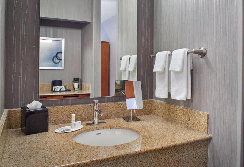 غرفة قياسية لذوى الاحتياجات الخاصة, Sonesta Select Minneapolis Eden Prairie