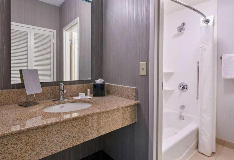 Люкс, Sonesta Select Minneapolis Eden Prairie