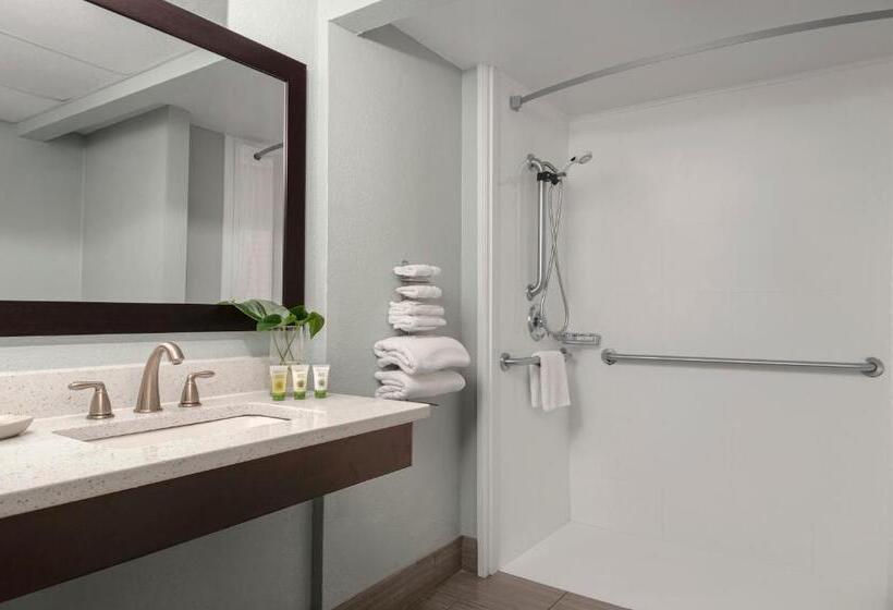 غرفة قياسية ذات إطلالة, Dolphin Beach Resort