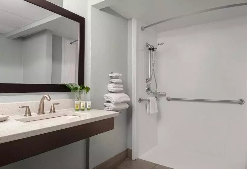 シングルデラックスルーム, Dolphin Beach Resort