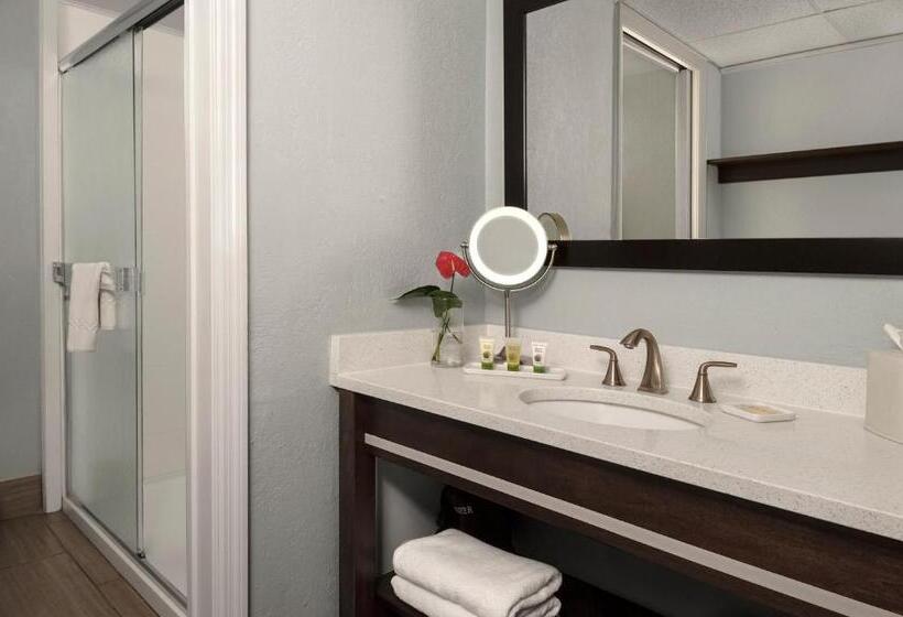 غرفة قياسية ذات إطلالة, Dolphin Beach Resort