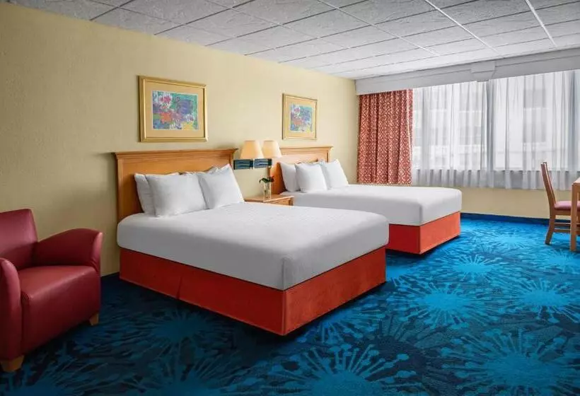 シングルデラックスルーム, Dolphin Beach Resort