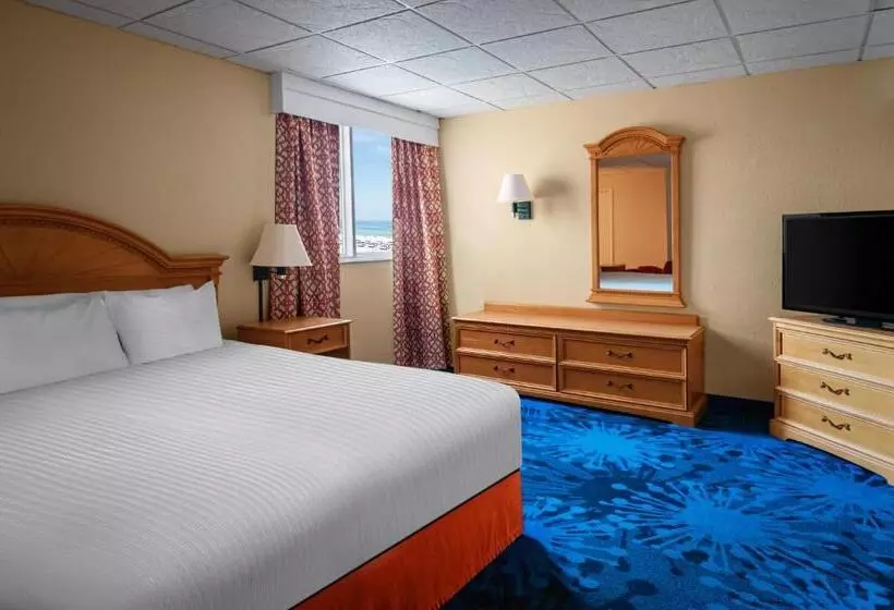 キングサイドベッドのスタンダードワンルーム, Dolphin Beach Resort